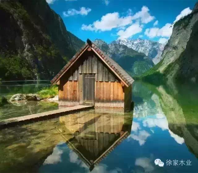 【徐家木業】地板之“負碳環保”